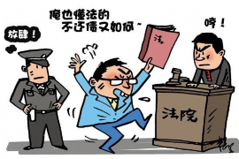 谷城专业讨债公司有哪些核心服务？